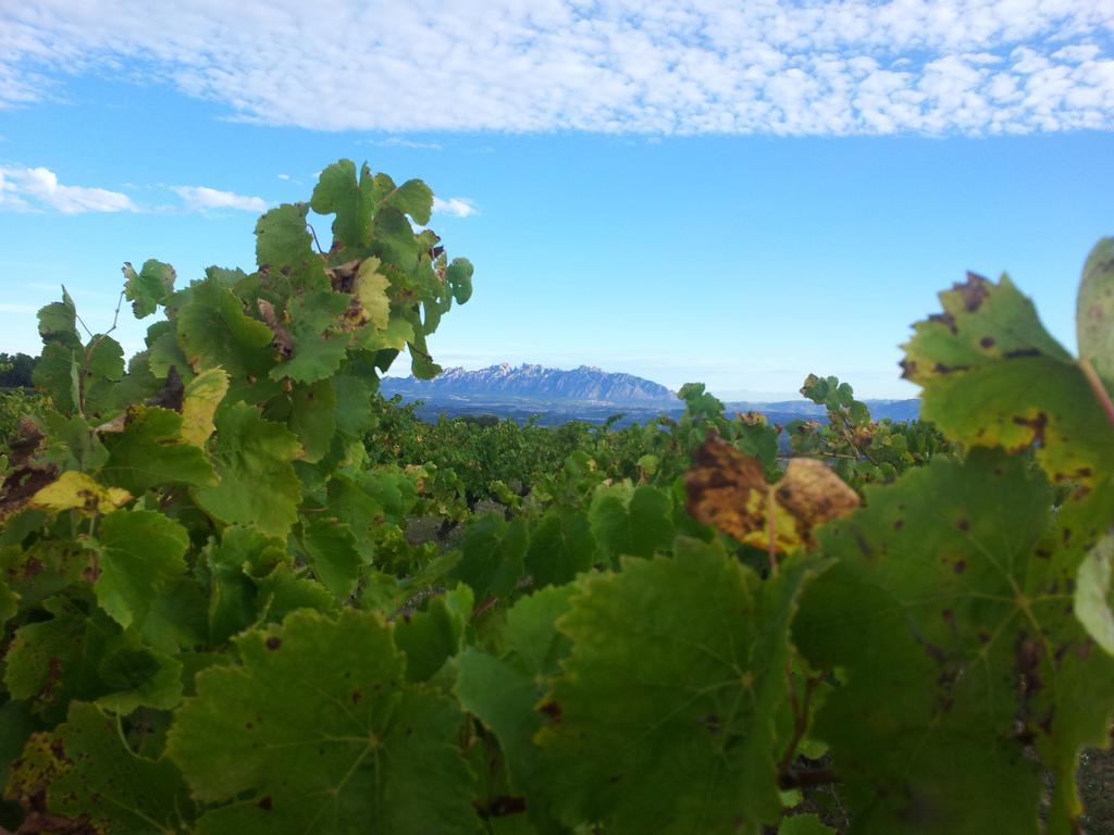 Agroturisme Cal Jeroni Avinyonet del Penedes Esterno foto